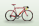 Vacanze in bici
