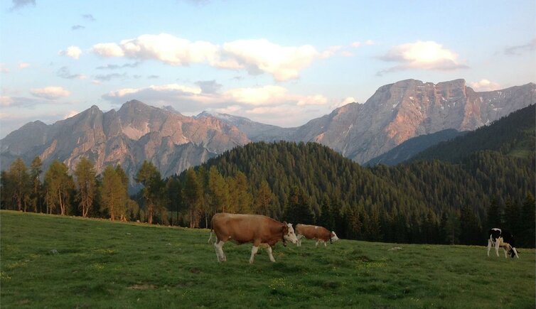 Escursione - Monte Kühwiesenkopf - Valdaora Di Mezzo - Val Pusteria ...