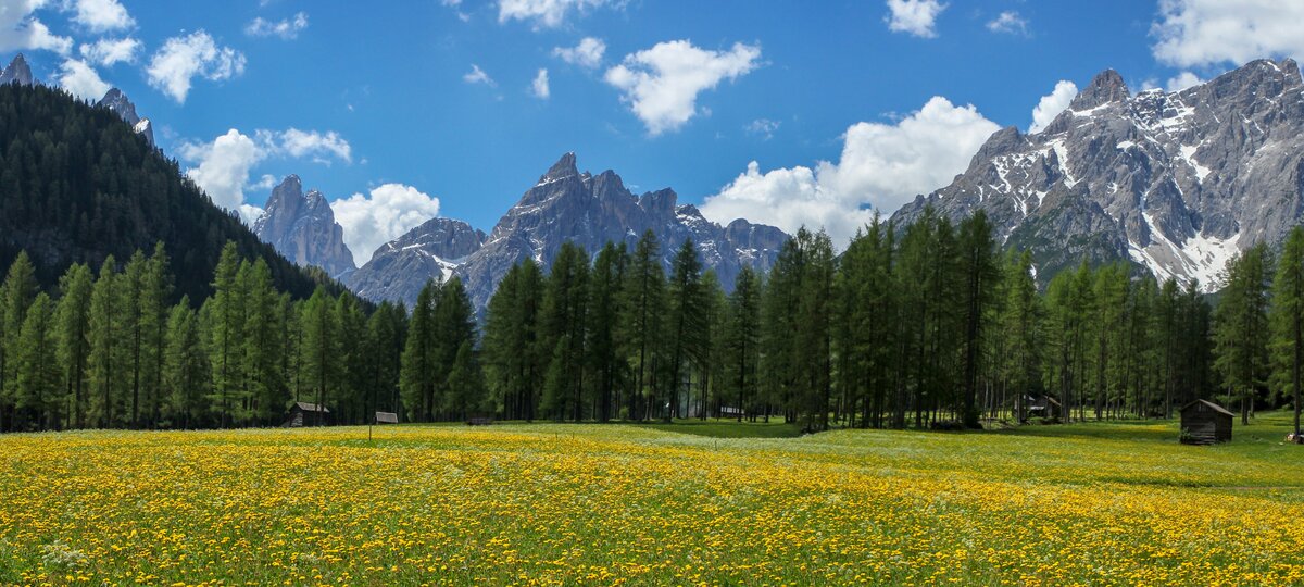 Sexten Fruehling Fischleintal Pano